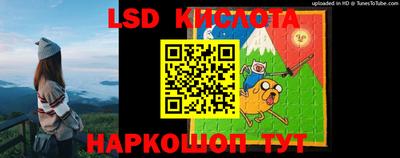 крисы Севастополь