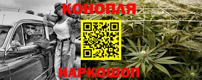 крисы Севастополь